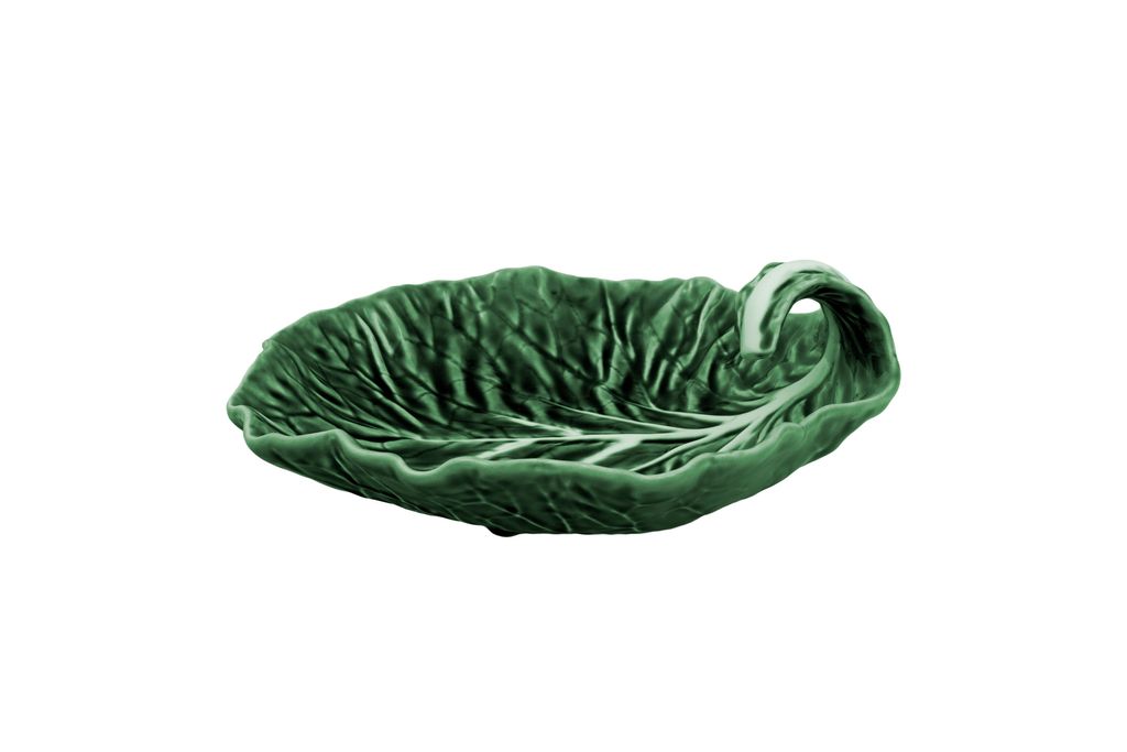 Cabbage leaf with curvature 25