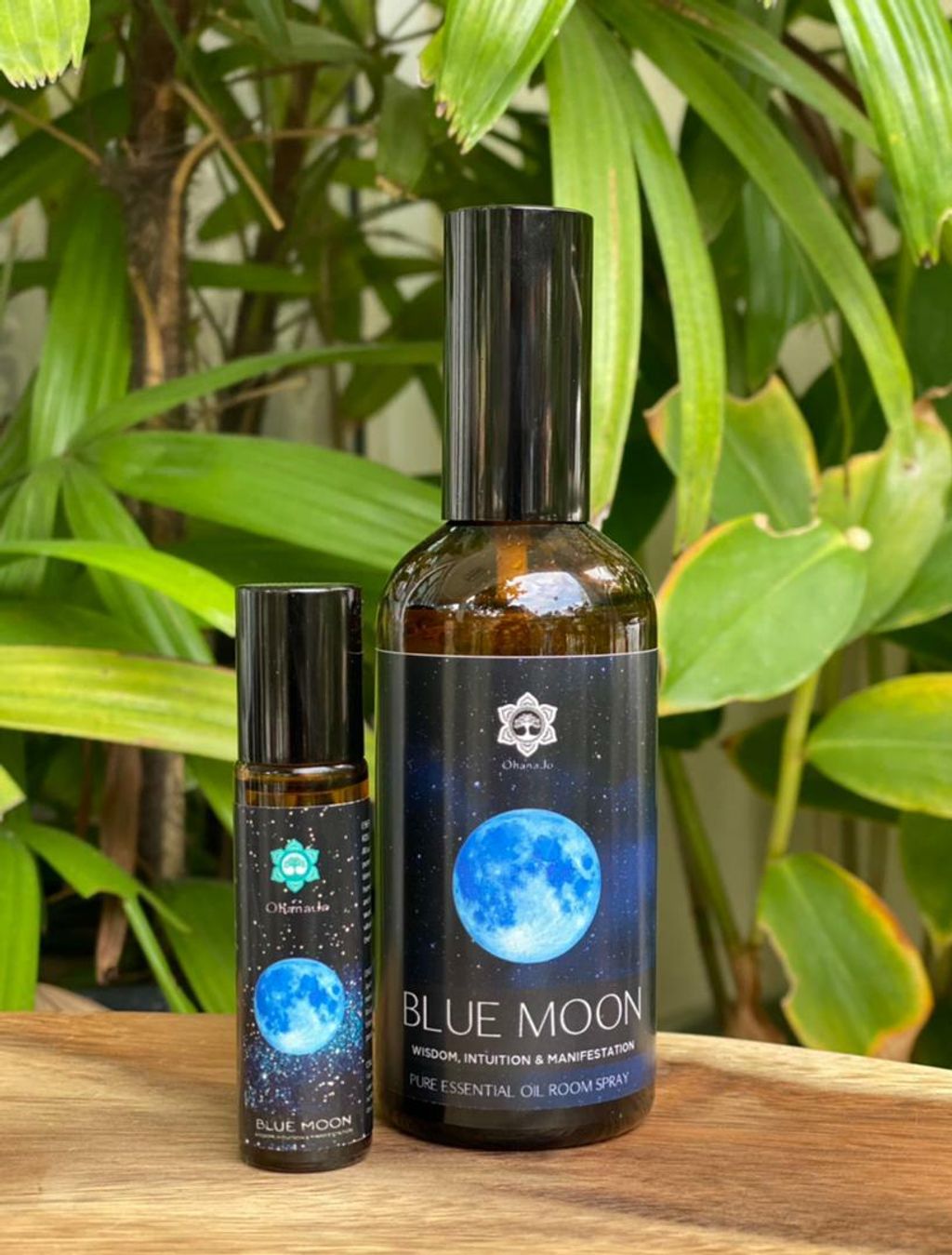 Blue Moon RO RS.jpg