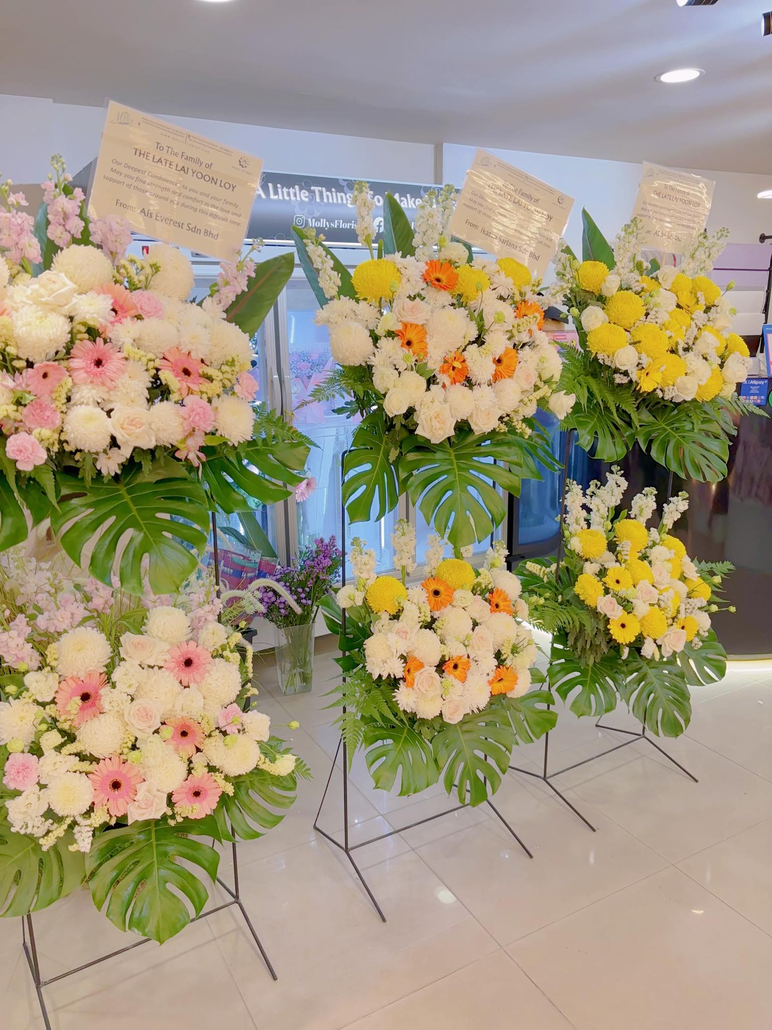 d55591bb-1b2f-4c11-b54b-0046e8c942b4