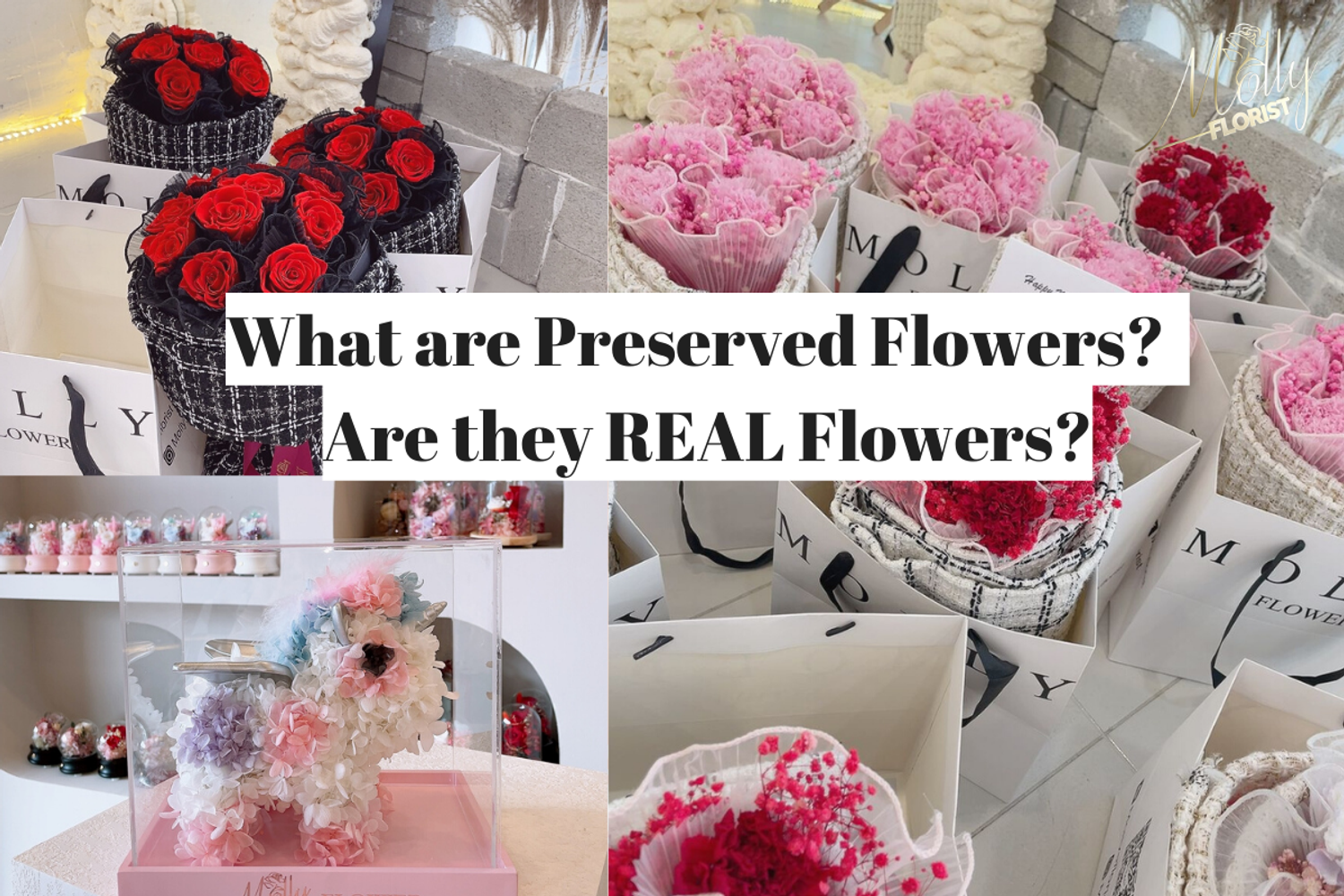 www.mollyflorist.com - What are Preserved Flowers?  Are they REAL Flowers?