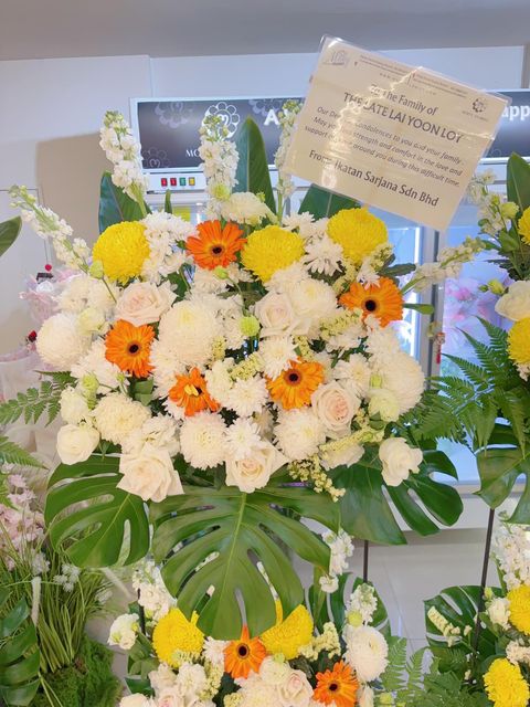 image_D38793B4-18C5-4B27-957C-B5F27A9DDBCB_1774344088