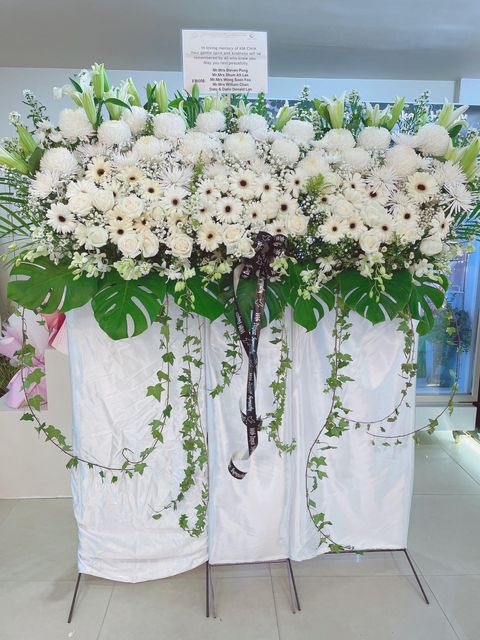 image_33799142-71EC-4A2A-A141-7DD812A5796A_1774344321