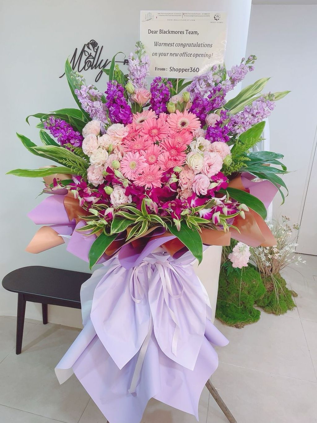 image_06EFB8EF-8FAE-43CD-8E2C-D2D85143D516_1774942806