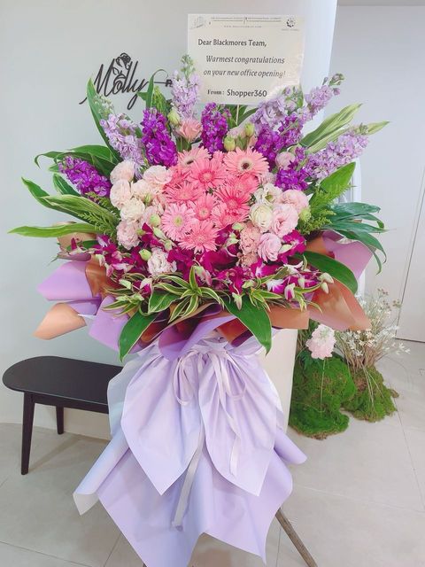 image_06EFB8EF-8FAE-43CD-8E2C-D2D85143D516_1774942806