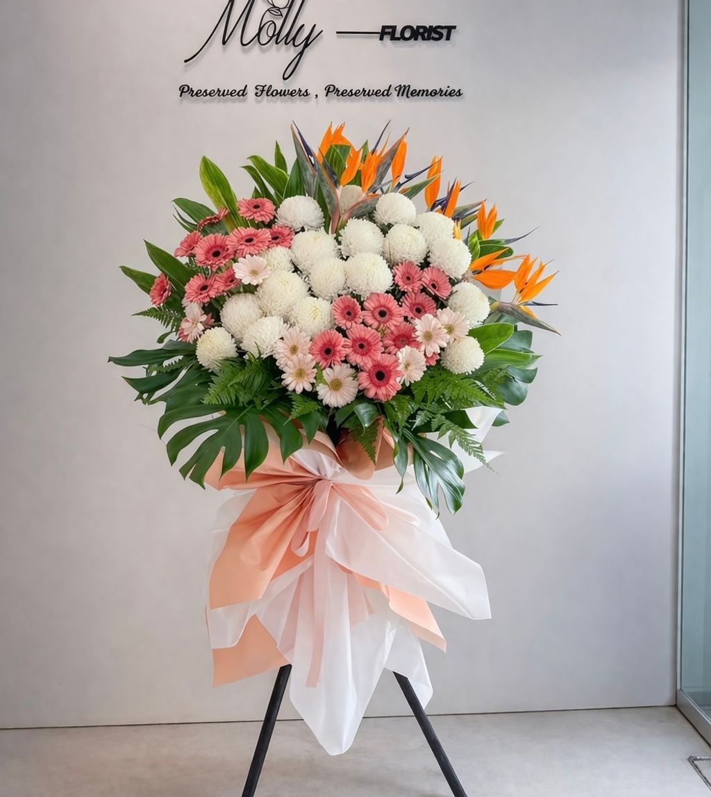 image_FAA03DAB-5511-4AA8-A4E2-DD414660D248_1775552300