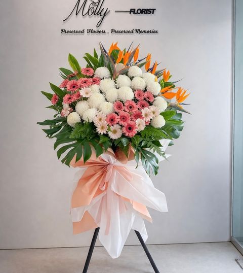 image_FAA03DAB-5511-4AA8-A4E2-DD414660D248_1775552300