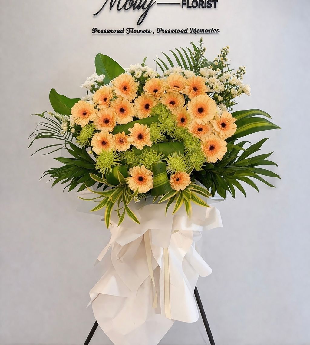 image_9D80A7E7-93C5-43A0-9B15-45FF4FFB5743_1775813567