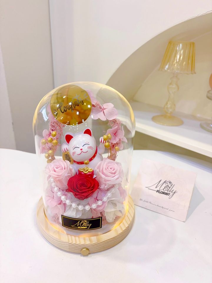 Congratulations Gift Lucky Cat Preserved Glass Dome