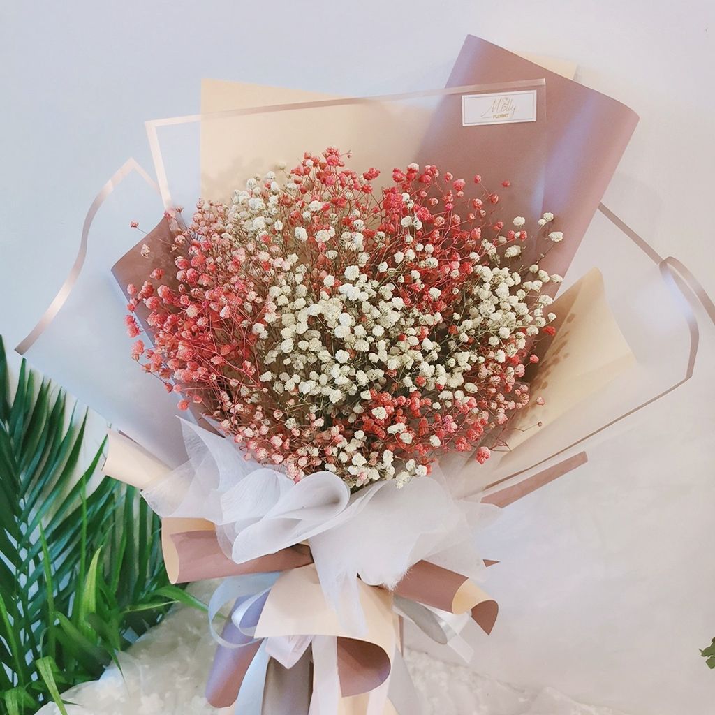 Baby Breath Dried Flowers Www Mollyflorist Com Baby Breath Dried Flowers Www Mollyflorist Com