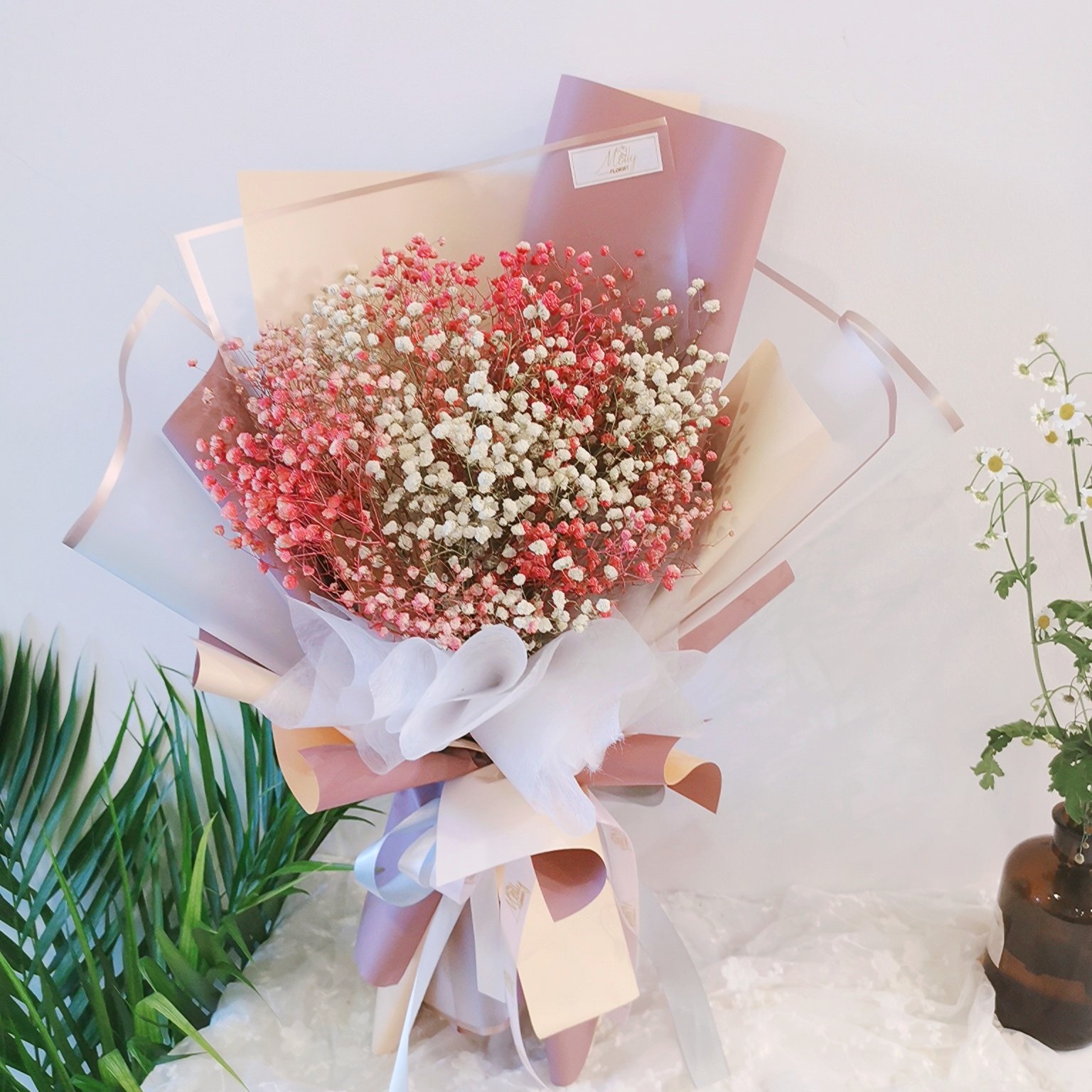 Baby Breath Dried Flowers Www Mollyflorist Com