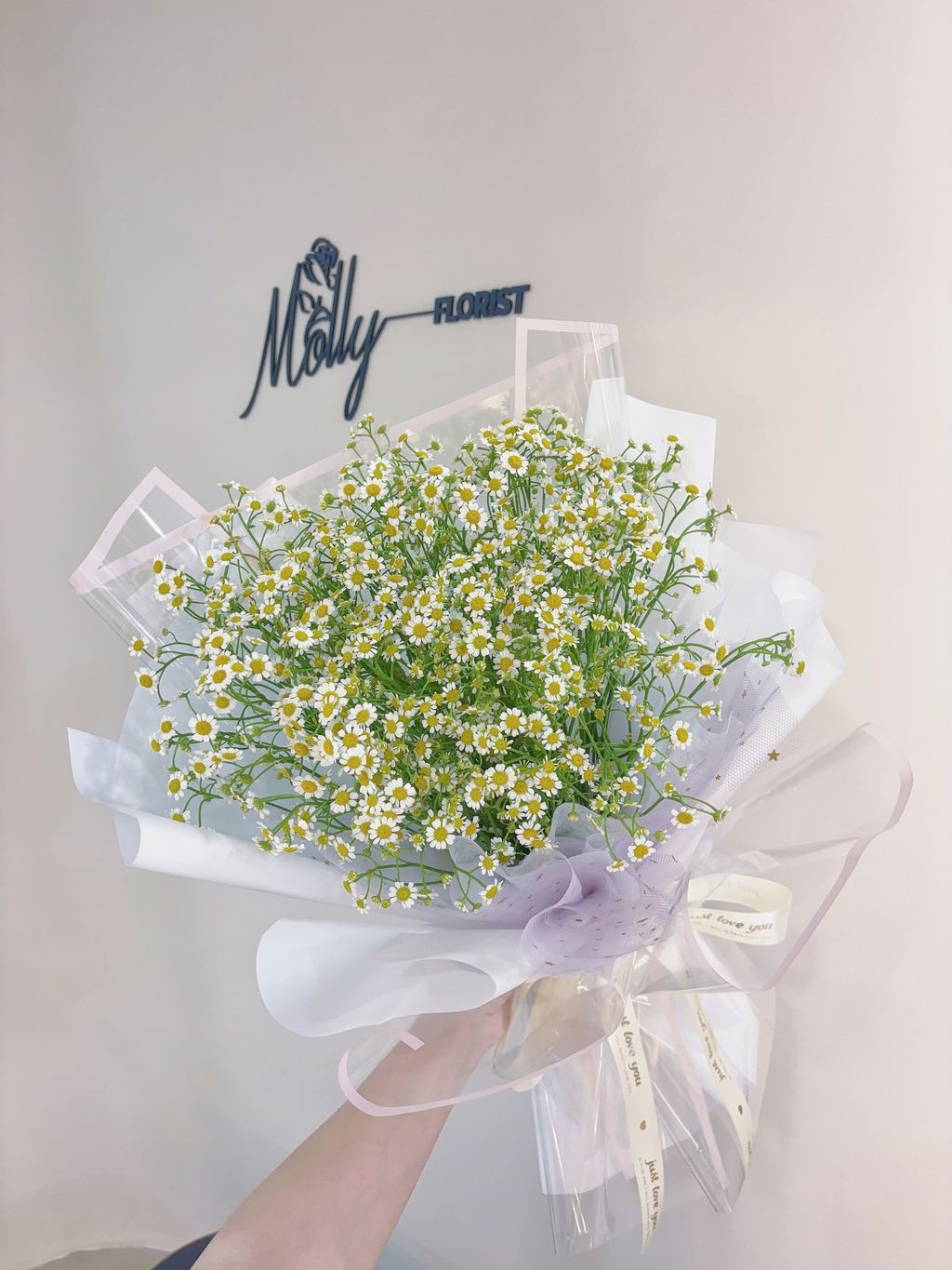 IMG_6985-1718640248237