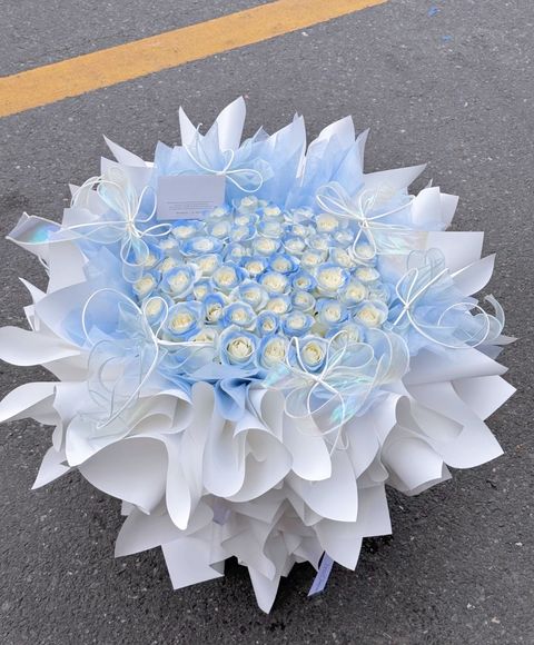image_8807D73F-5995-4A31-93FD-1FC26B6AEA8F_1760452917