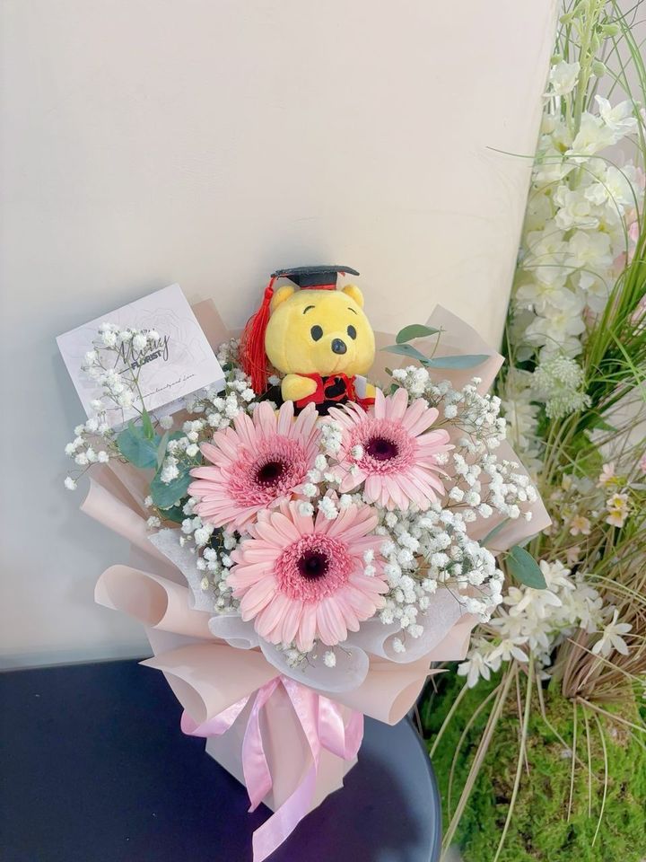 Gradution Daisy Fresh Flower