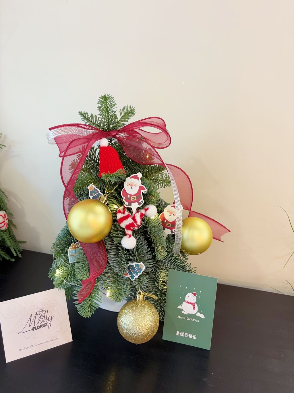 image_0395D5CD-E7D9-41D1-83E6-573B2CF5A813_1766318583