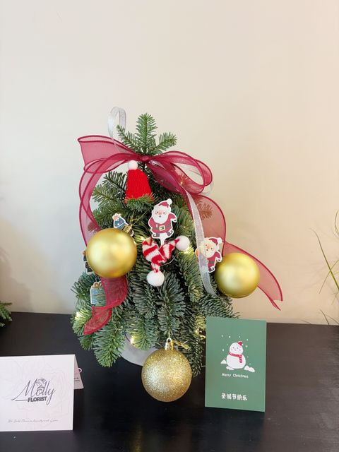 image_5E51F172-DC65-48D5-AE0B-7E4E8007F773_1766318583