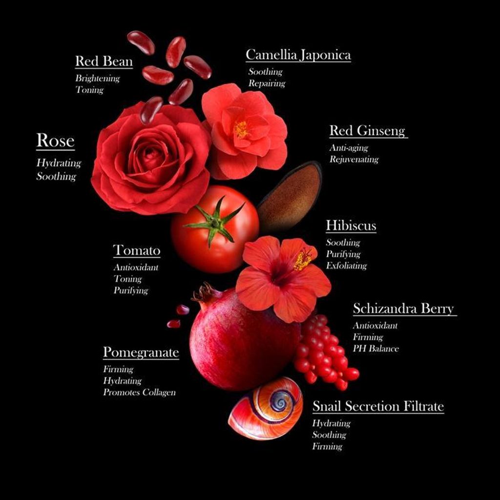 OMG! Red + Snail Mask 2.jpg