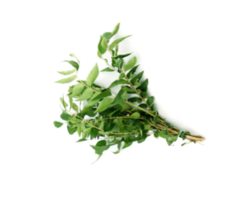 Curry Leaves.png
