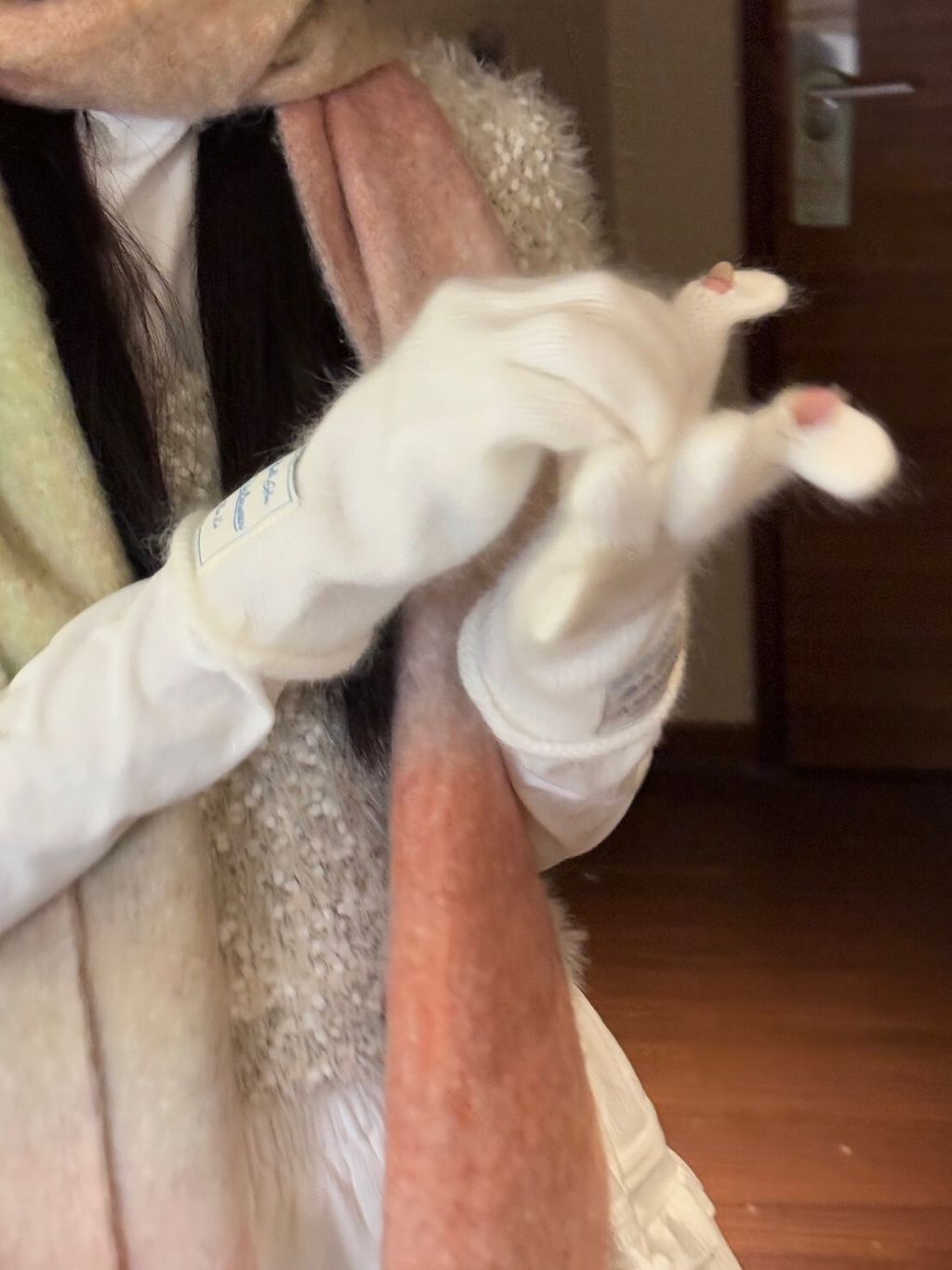 325CA22B-7B6B-4C56-BAA6-CB40B77DFF98