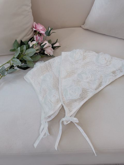 image_2F210C44-A6FF-41B5-9AD4-A6180D968C7D_1745020553