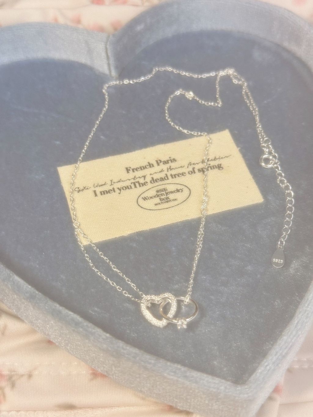 image_5ED00B11-8440-48C9-AE60-93F5F56551C5_1755439770