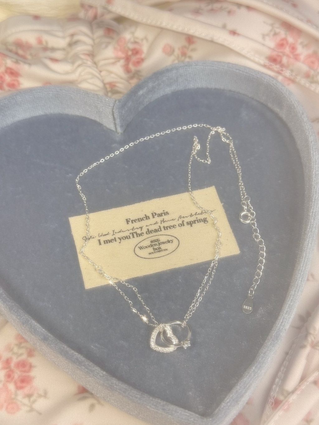 image_A0F17895-F4EC-44A6-8903-B3A4C9413E19_1755439770