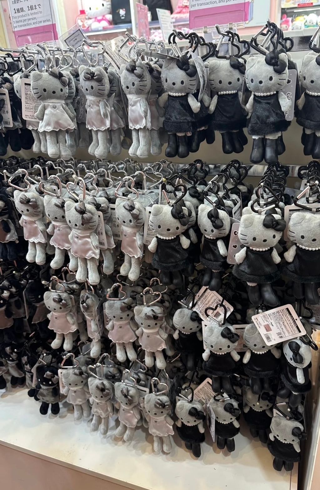 image_0CF3F9F7-84CB-4597-9E2C-B33C7BADCB3E_1758027617