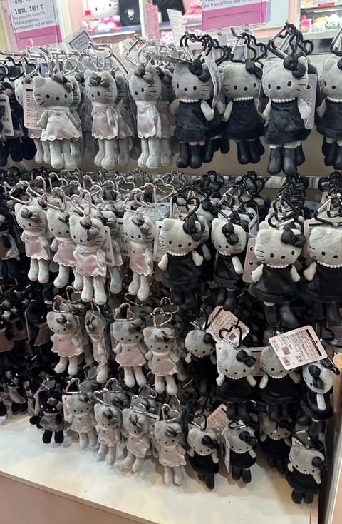 image_0CF3F9F7-84CB-4597-9E2C-B33C7BADCB3E_1758027617