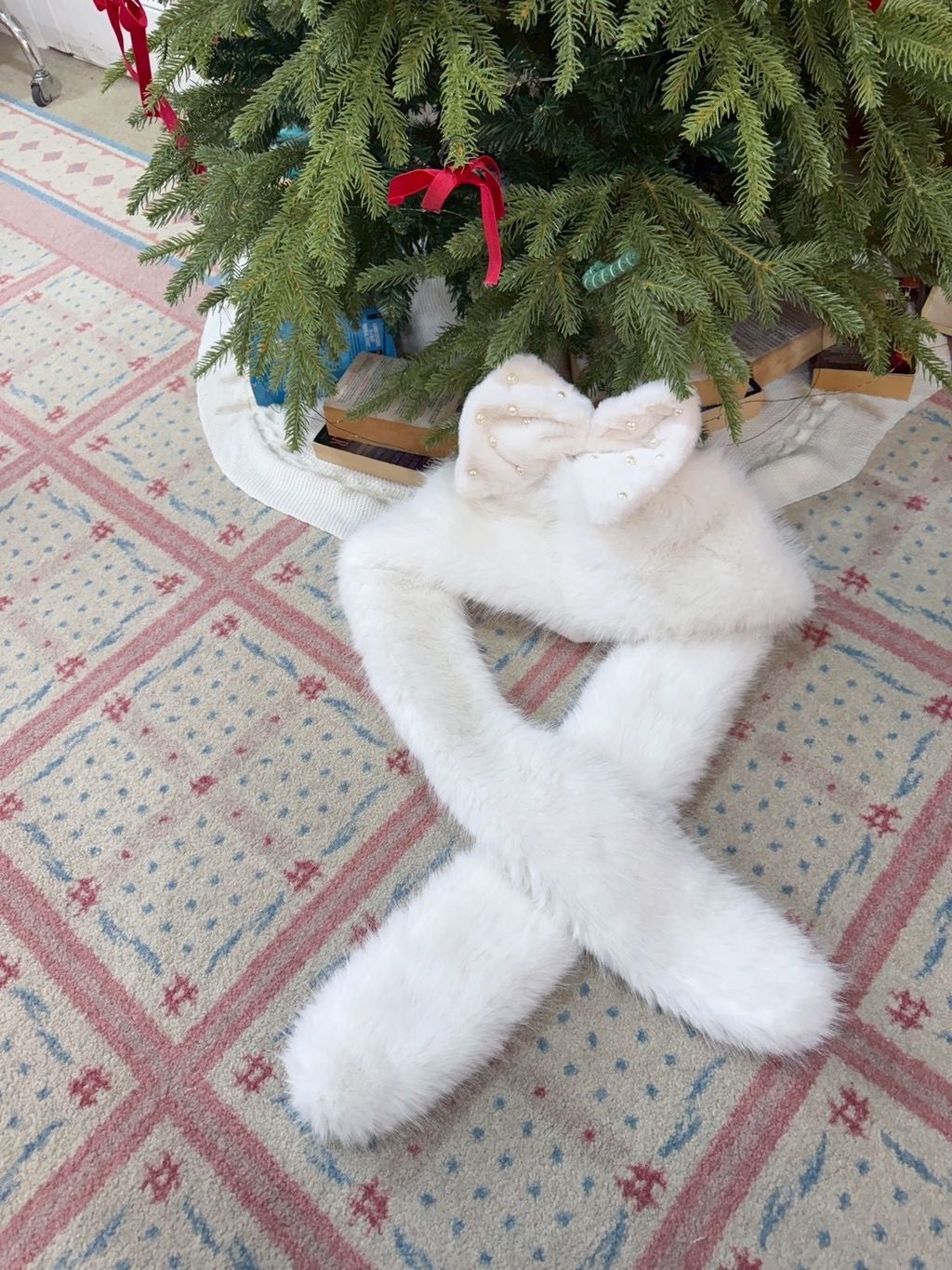 image_582ECEFA-057B-48FF-8F60-8B3EA48BBEE8_1765561706