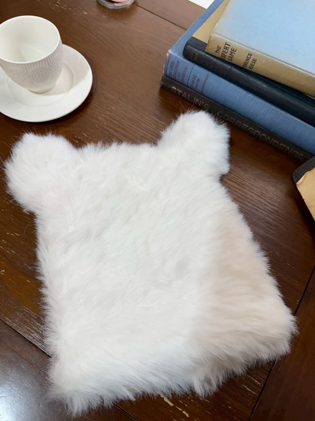 image_8F92CF60-B022-487C-A30C-881348521209_1765731453