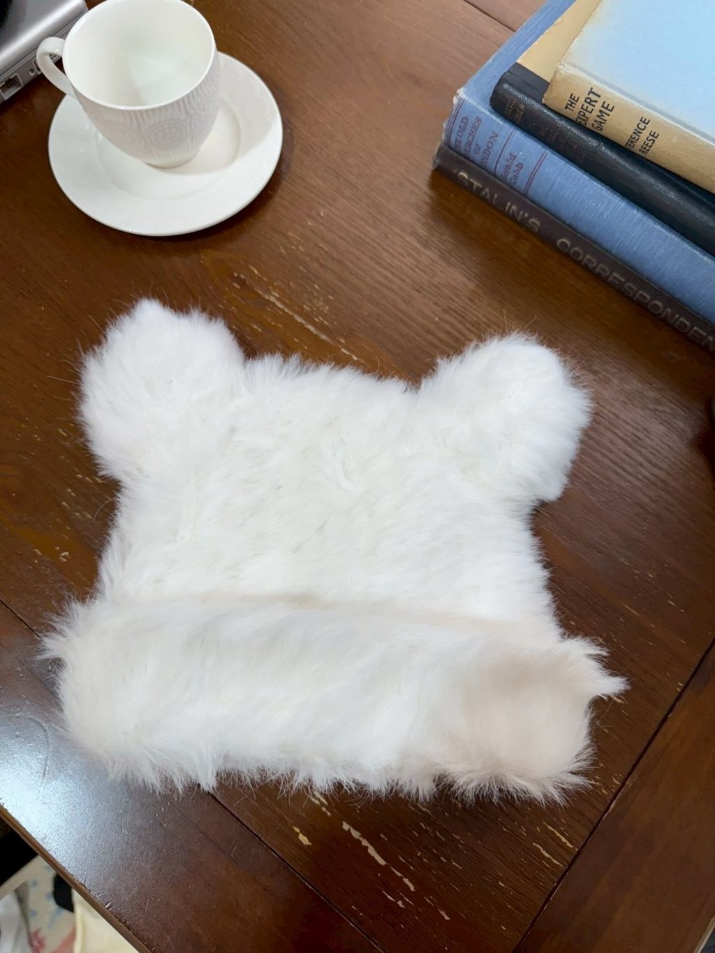 image_794D6F22-EB97-4627-879E-8A3343C1AC68_1765731453