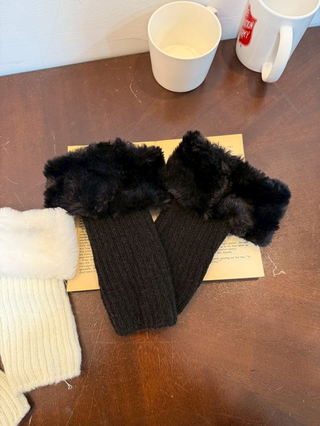 image_02055887-9FF3-4D39-BEC2-6E96FD0F9838_1765747666