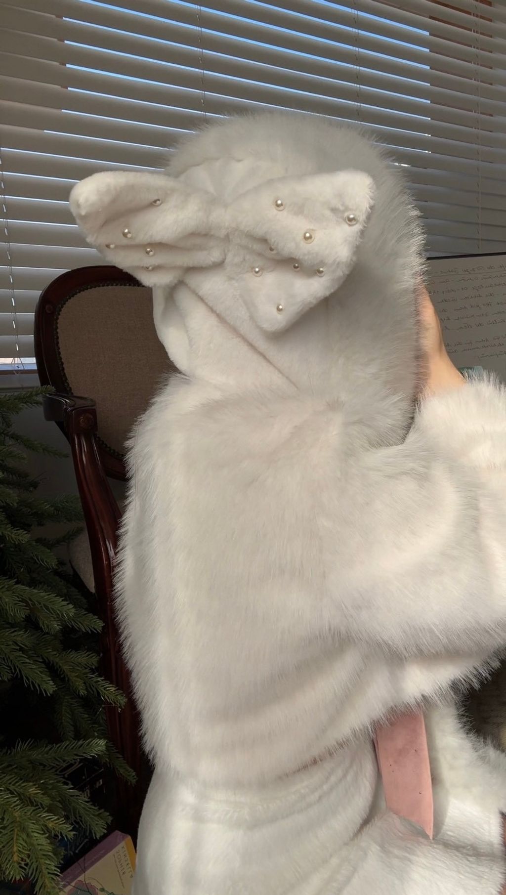 image_C8FE81D6-676C-470A-98B7-D599103EFFD5_1767376498