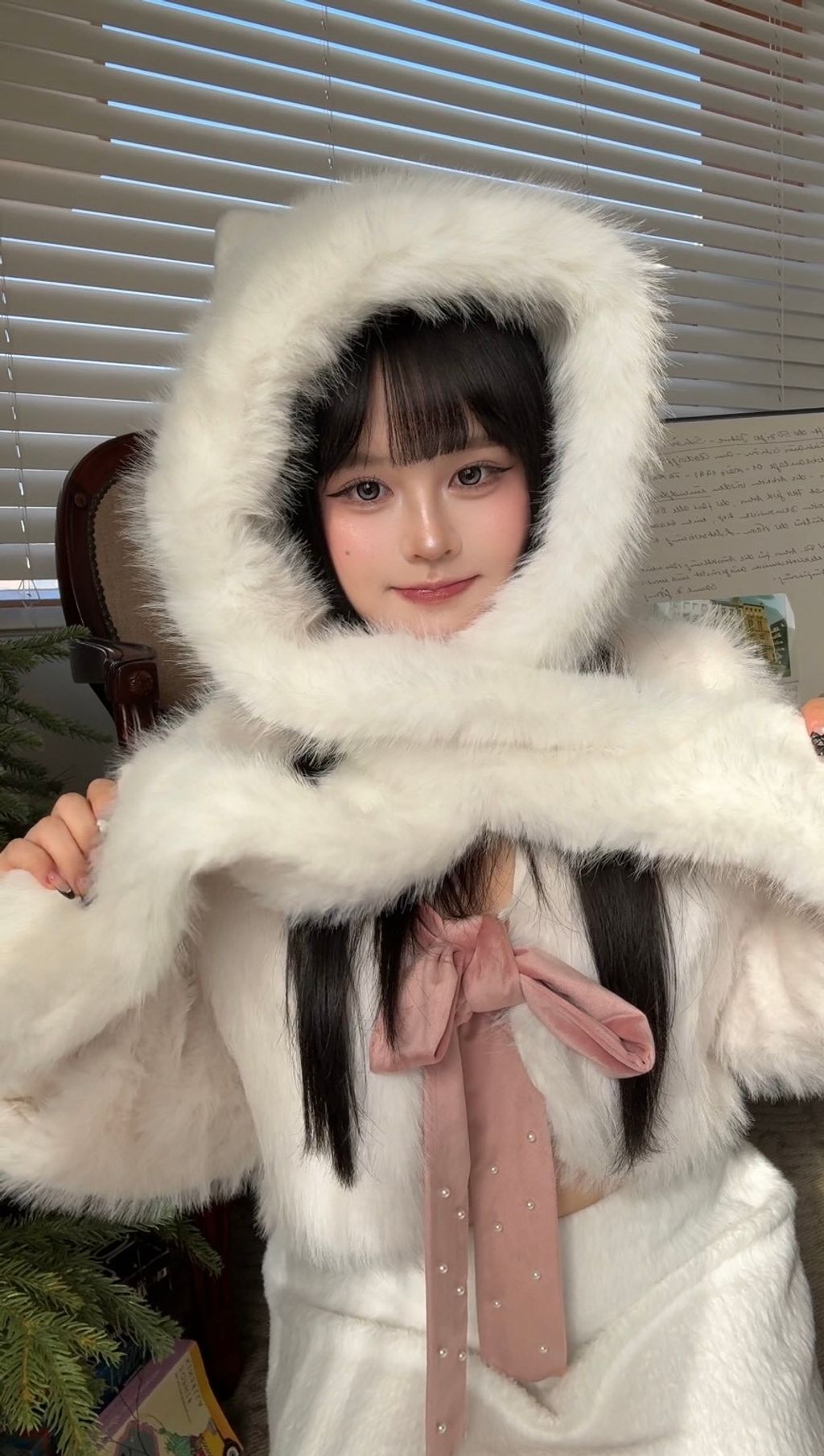 image_AAD65D47-287C-4B3E-91C5-D4E736F7F10C_1767376498