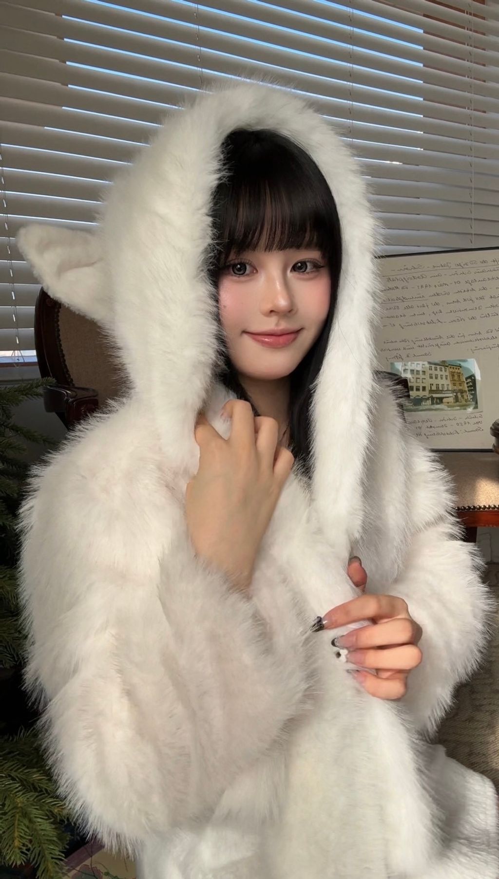 image_4E7ED7F3-79A6-4557-A67B-061D1C90CFAB_1767376498