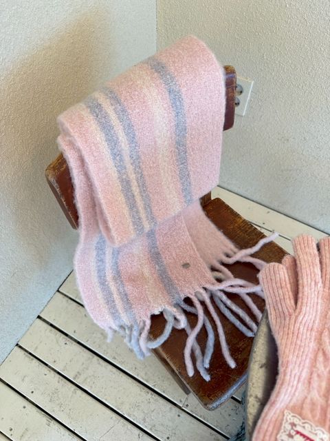 image_D8B5B050-B094-47CA-BE13-21A8603B3BEB_1767378760