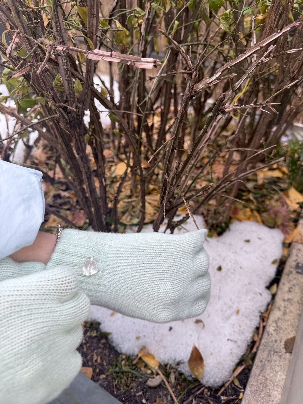 image_F19396A8-DFBC-4DCF-A9B1-CA5AE71D8012_1767380256