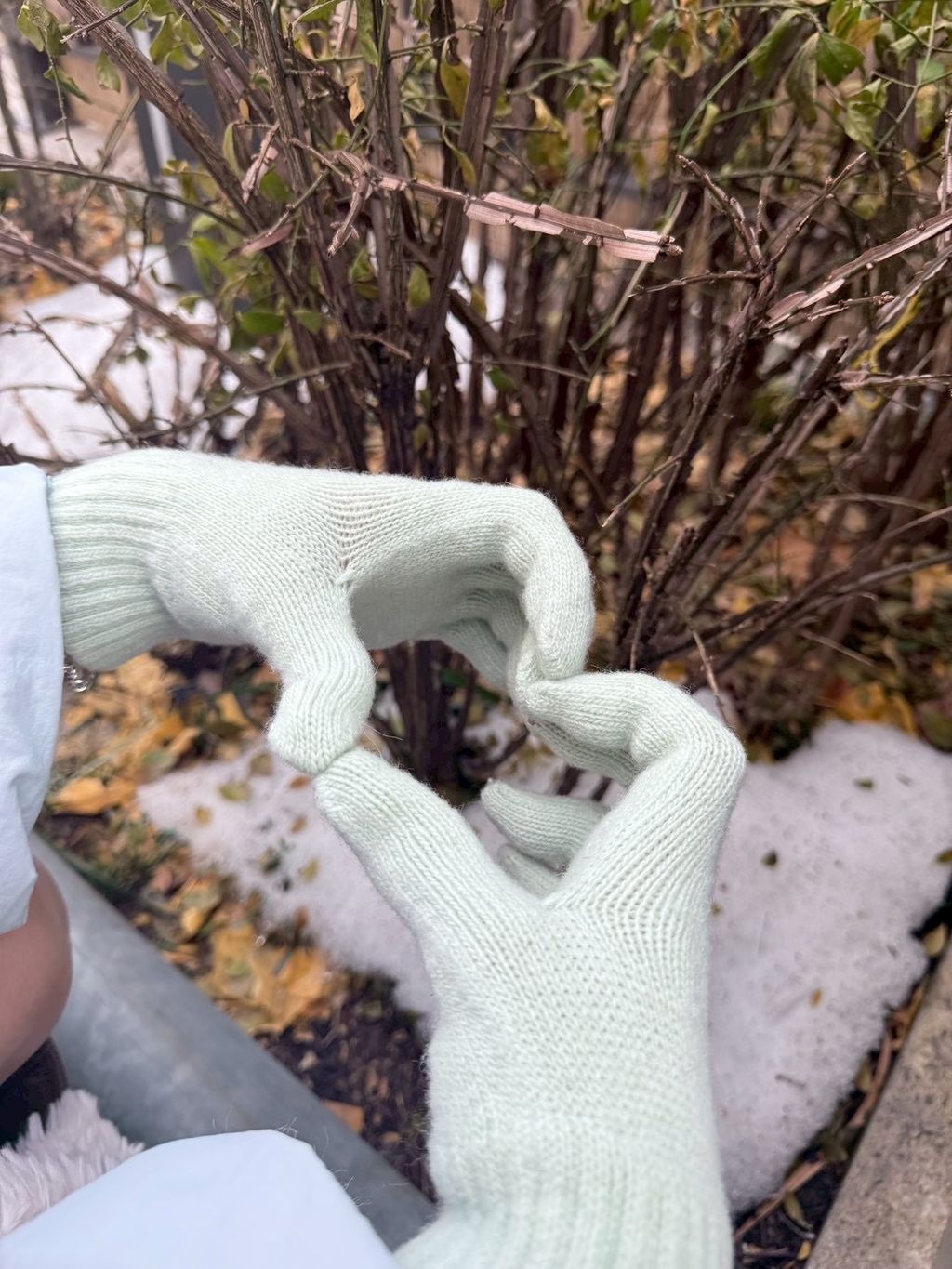 image_1921EB7B-7A5F-4655-B62C-6696DDDE6EF6_1767380256