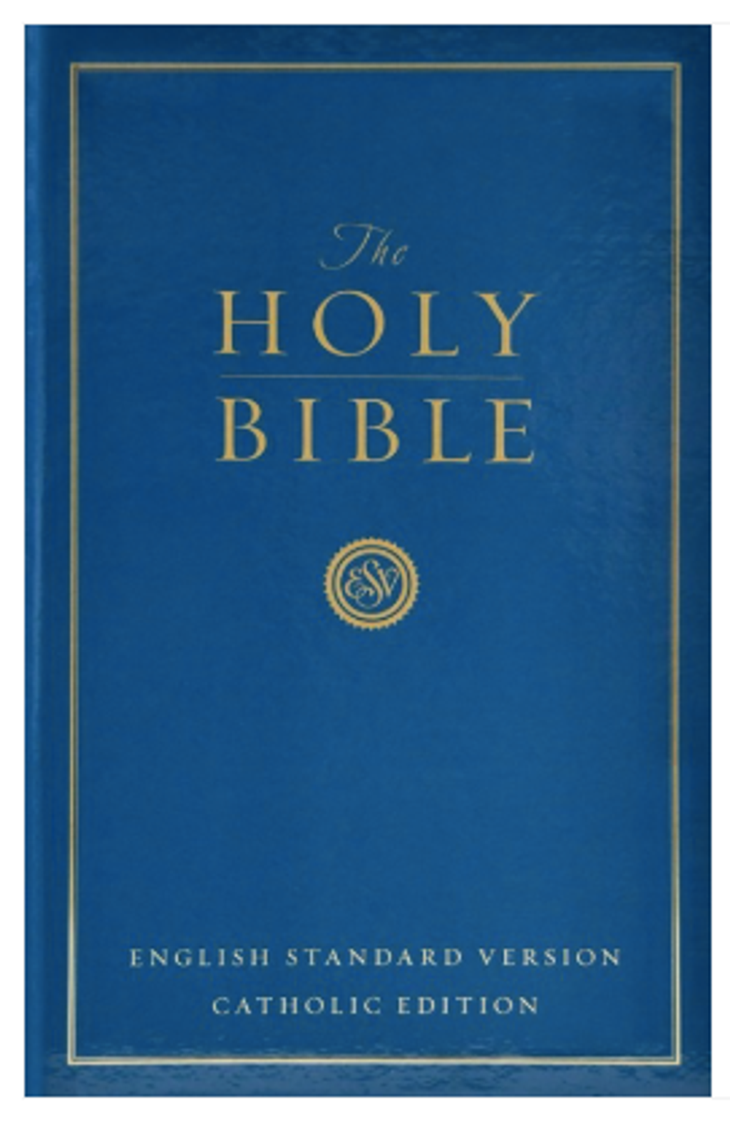 Screenshot 2026-03-25 at 6.13.36 PM