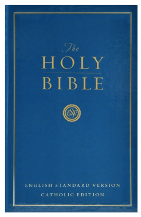 Screenshot 2026-03-25 at 6.13.36 PM