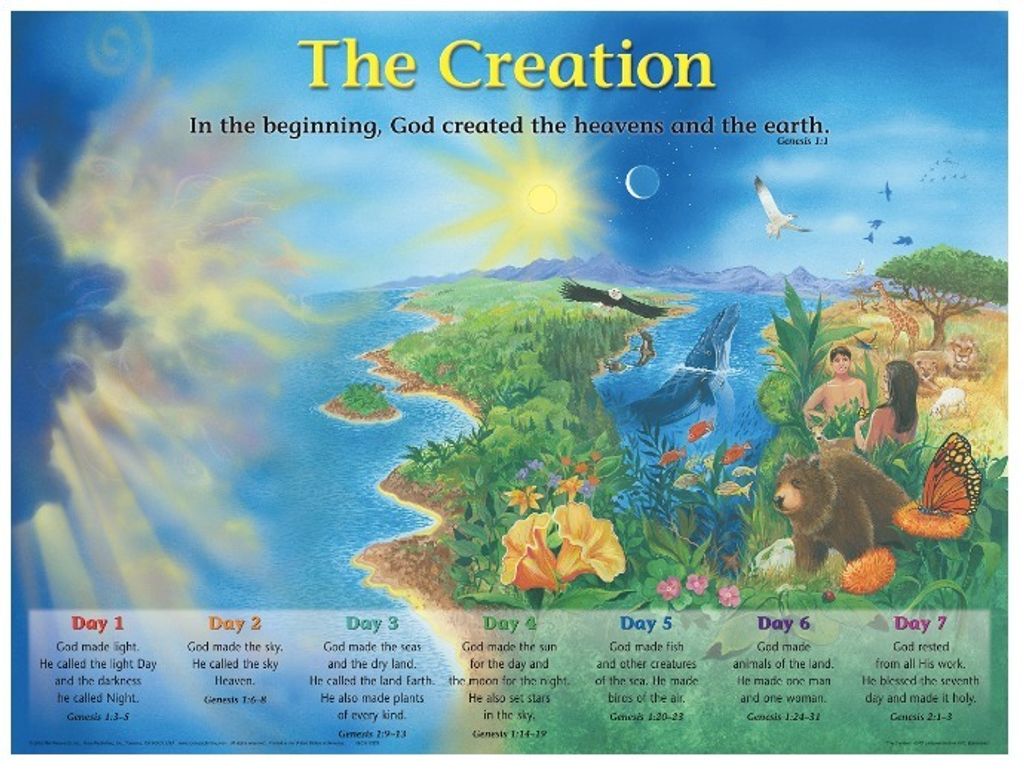 Creation wall chart