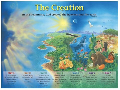 Creation wall chart