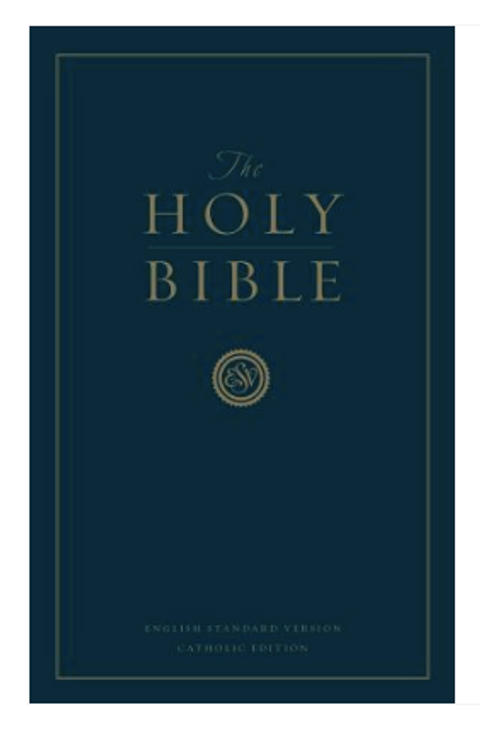 Screenshot 2026-02-11 at 10.20.02 AM