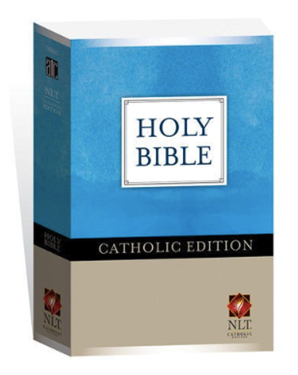 Screenshot 2026-02-11 at 10.25.25 AM