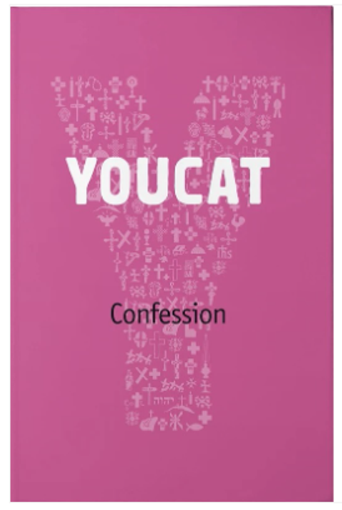 Screenshot 2026-02-11 at 11.41.57 AM