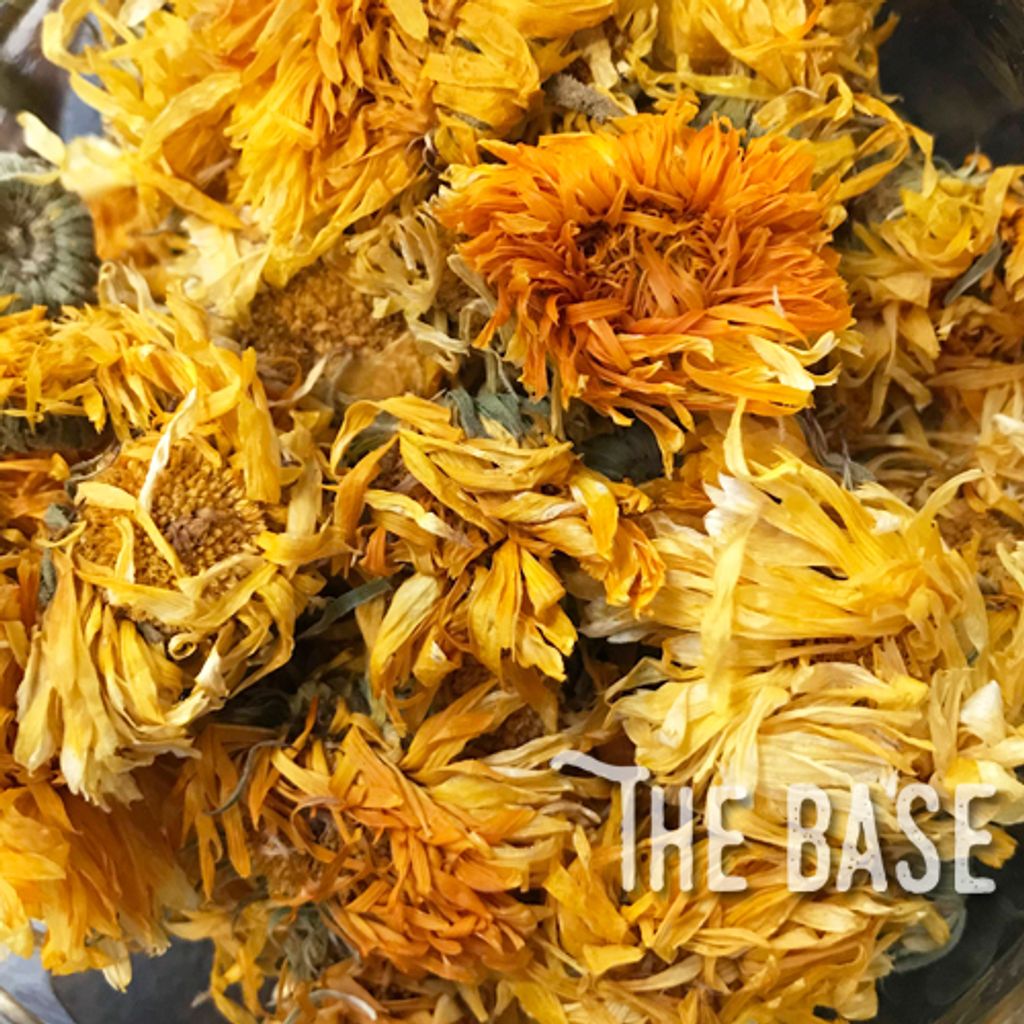 calendula.jpg