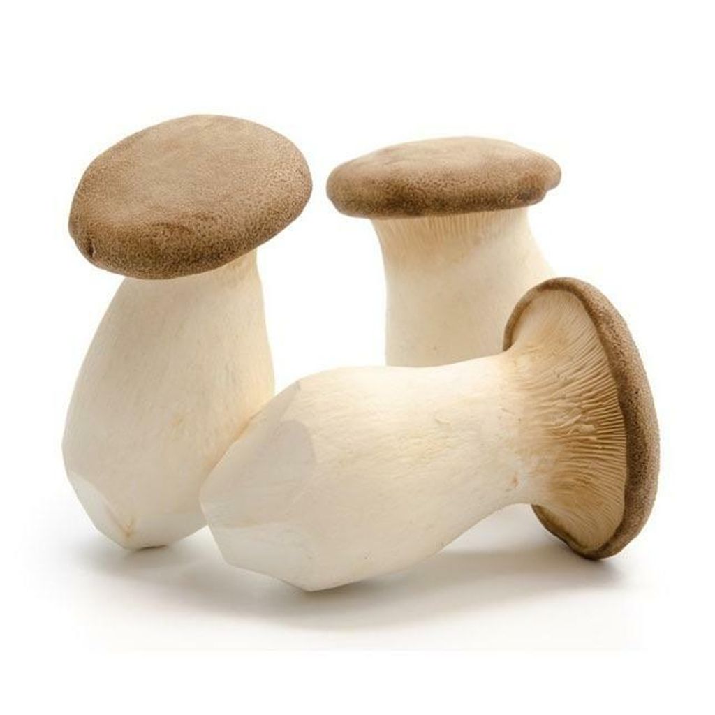 Cendawan Xing Bao Gu King Oyster Mushroom 杏鲍菇 Vegibest Grocery 蔬菜生鲜