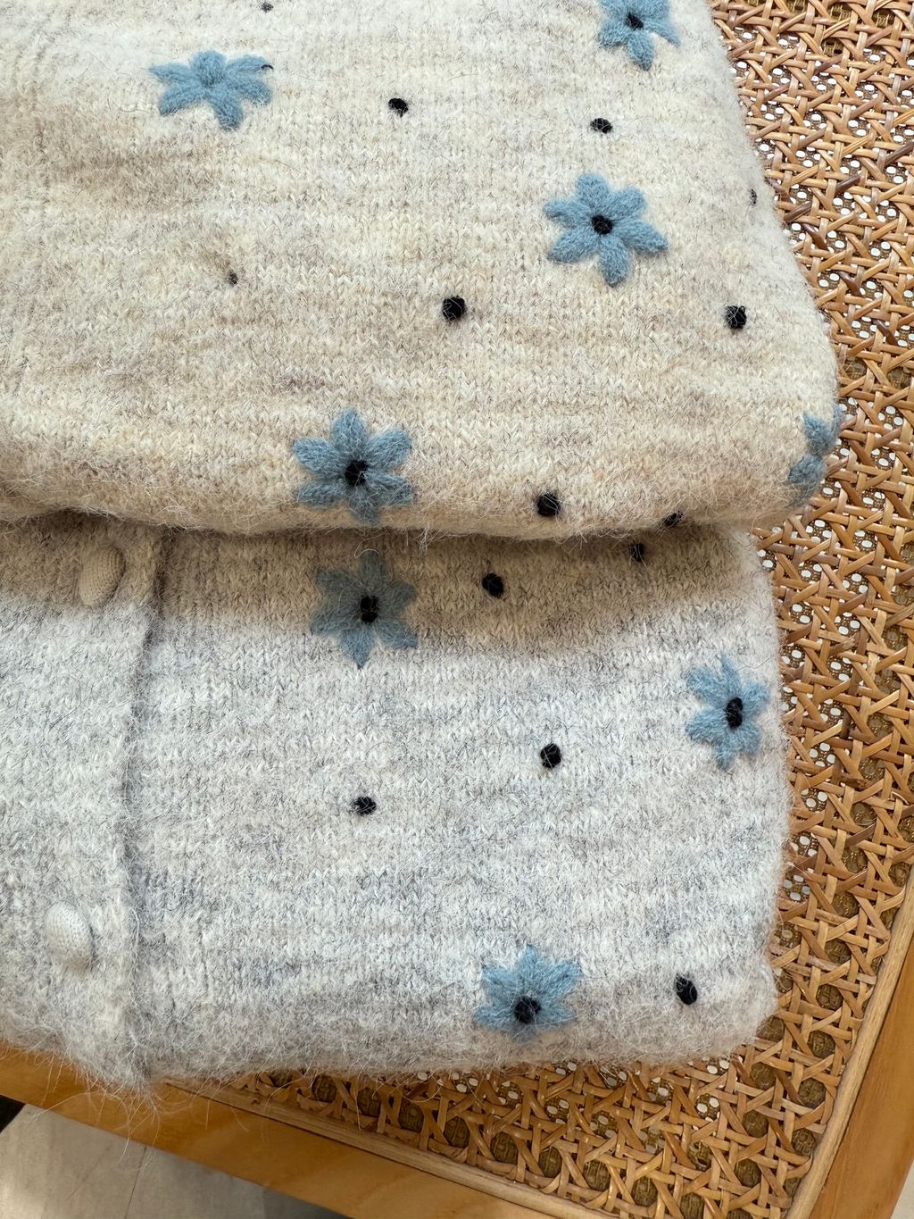 image_9F68D3F5-A99E-49FE-9FC8-6E44B9156A84_1762504653