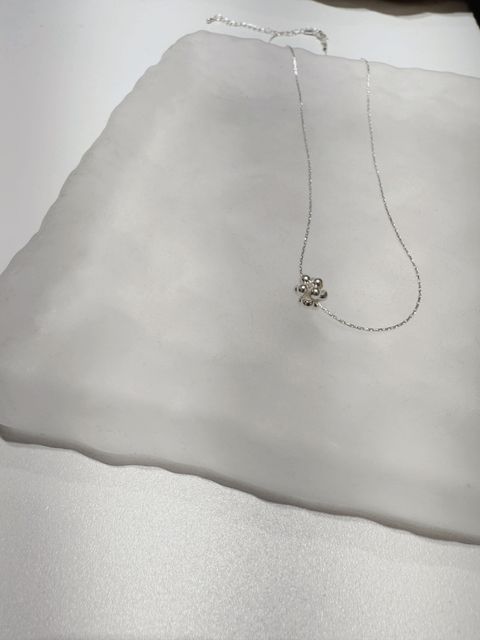 image_2A0FA3F3-E52E-4ECE-9D06-E7D8C7276ED2_1762776516