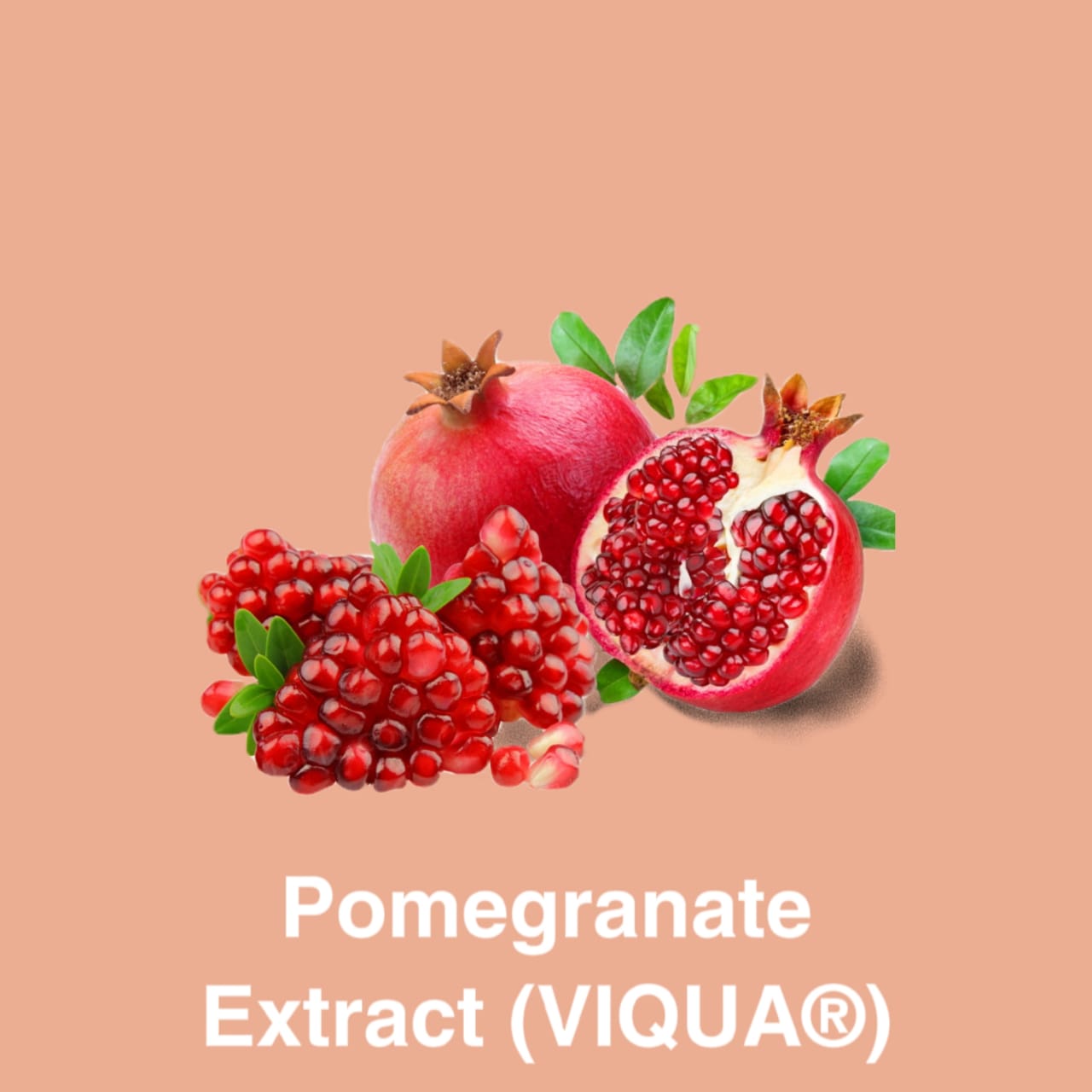 WhatsApp Image 2022-06-24 at 11.35.08 AM (2)