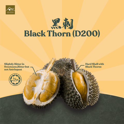 product cover photo-06-min.png
